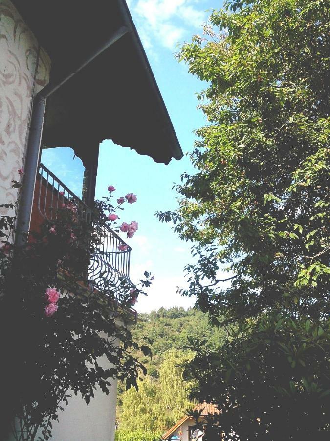 Am Nationalpark Apartment